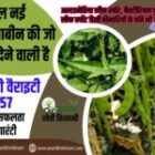 Soybean vairaety  – NRC 157 (एनआरसी 157) Soybean new kism| Soybean